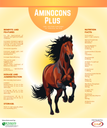 Aminocons Plus 1liter