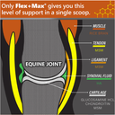 Flex-Max Joint Health Supplements 5 lb