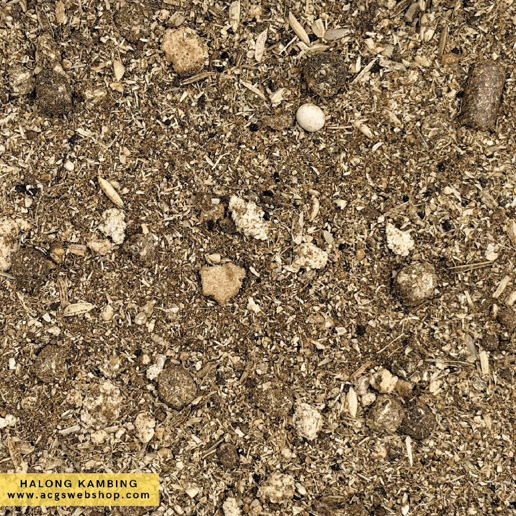 TMR Halong Kambing 40kg