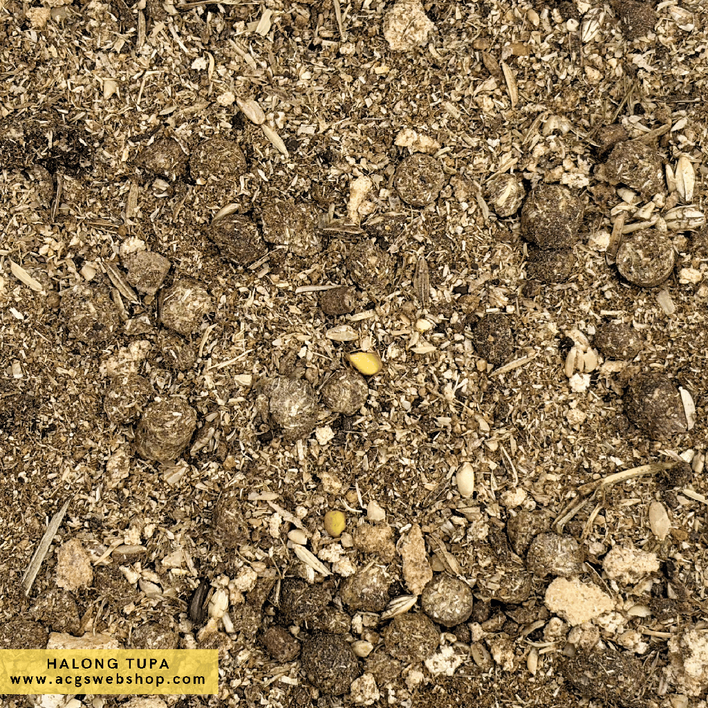 TMR Halong Tupa 40kg