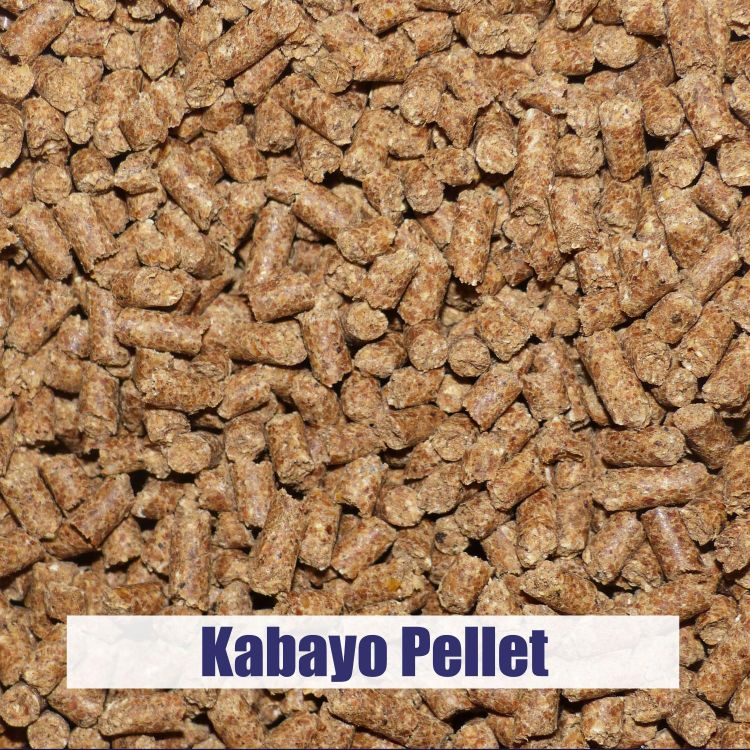 Kabayo Pellet 40kg