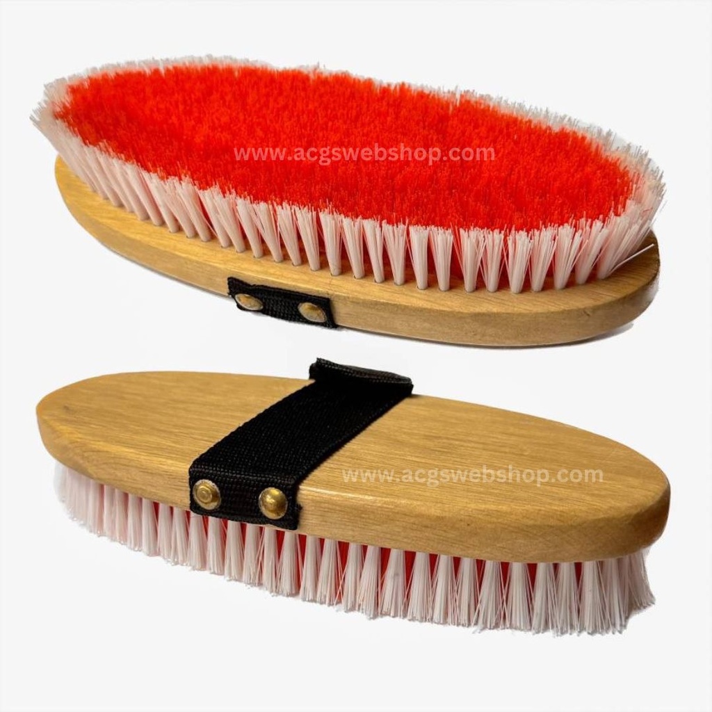 Body Brush Wood Back