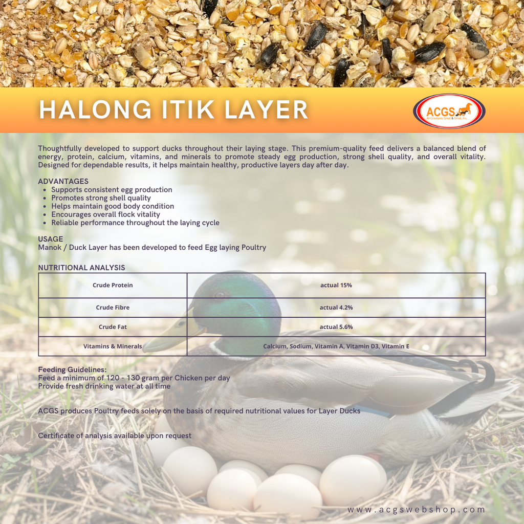 Halong Duck Layer 40kg