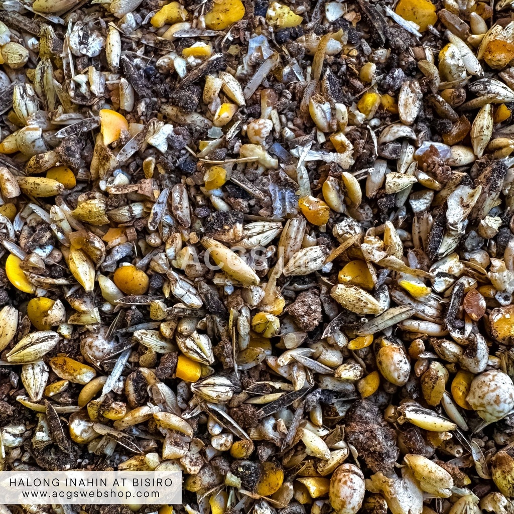 Halong Inahin Bisiro 40kg