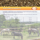 Halong Kabayo 40kg