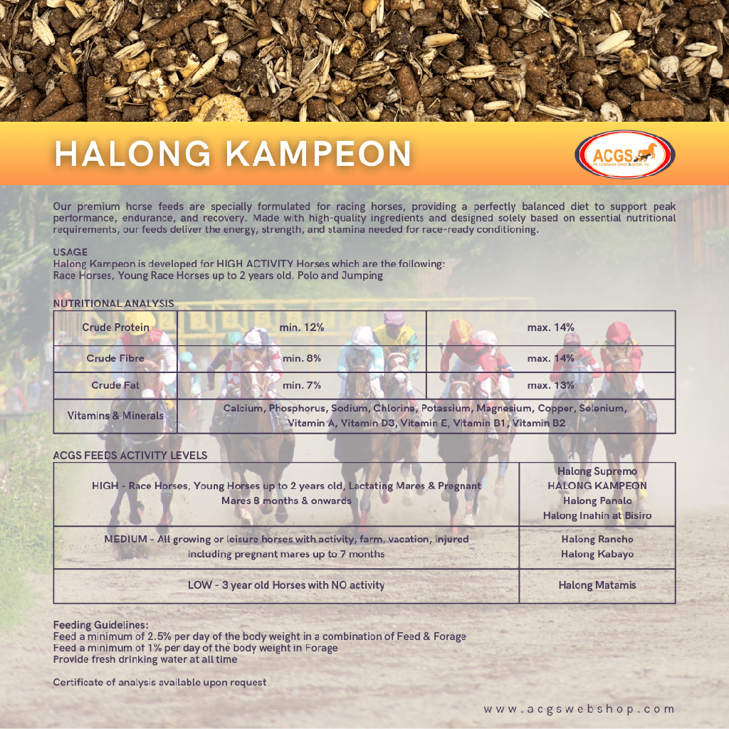 Halong Kampeon 40kg