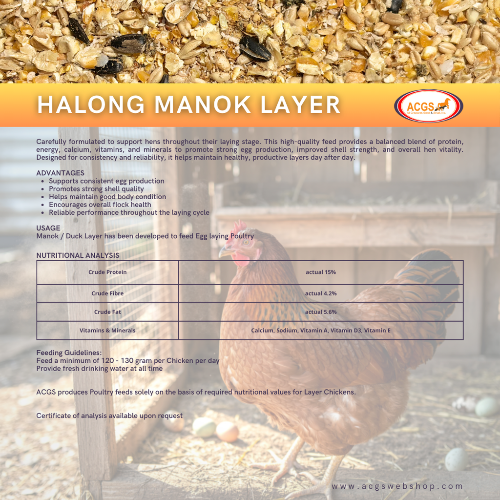 Halong Manok Layer 40kg