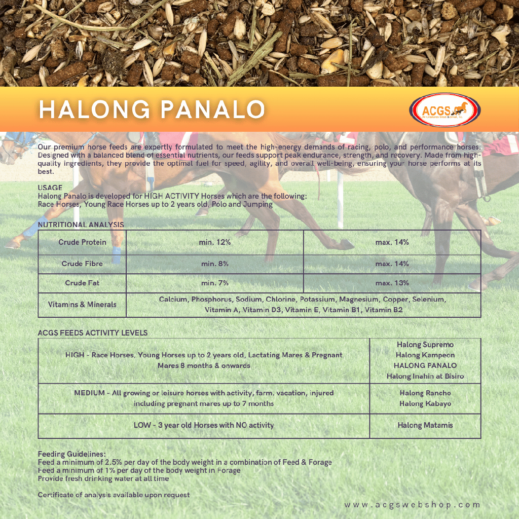 Halong Panalo 40kg