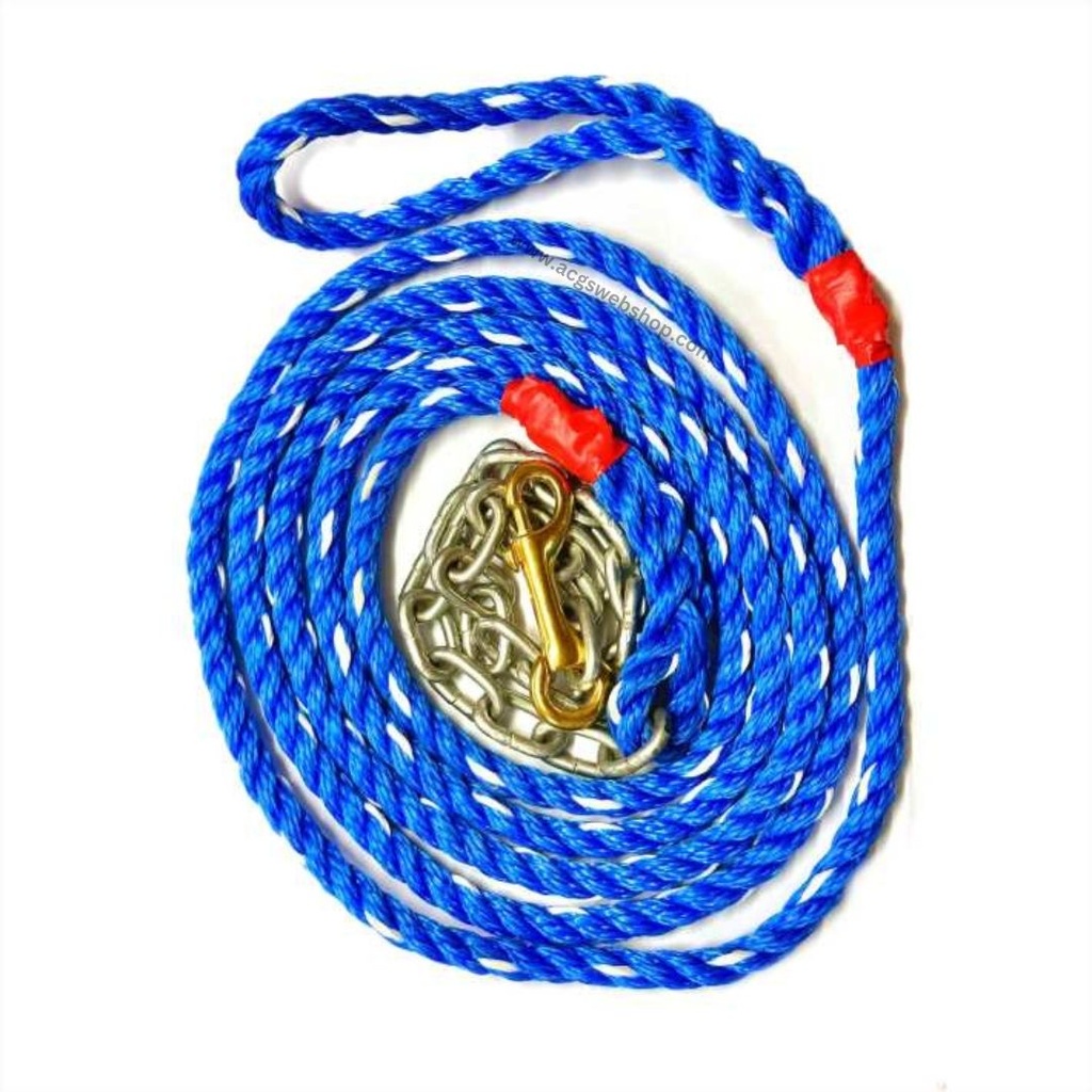 Lead Rope with Chain Blue