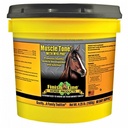 Muscle Tone 