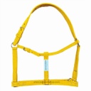 Halter / Mortigon pcs (Yearling Yellow)