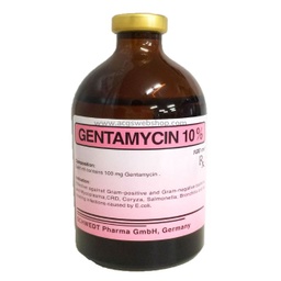Gentamicin 10% 100ml