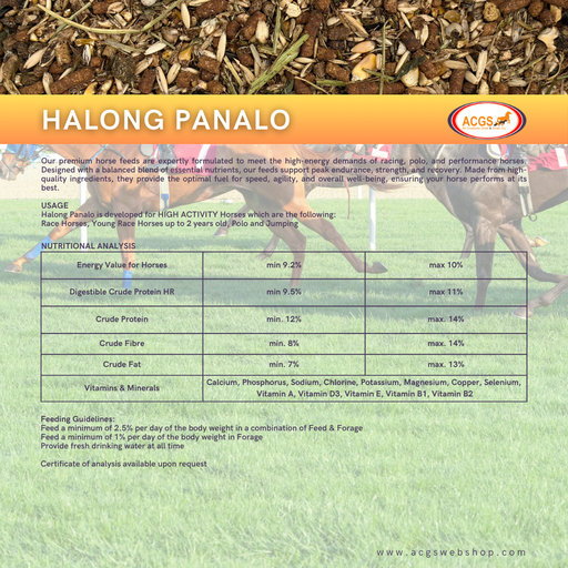 Halong Panalo 40kg